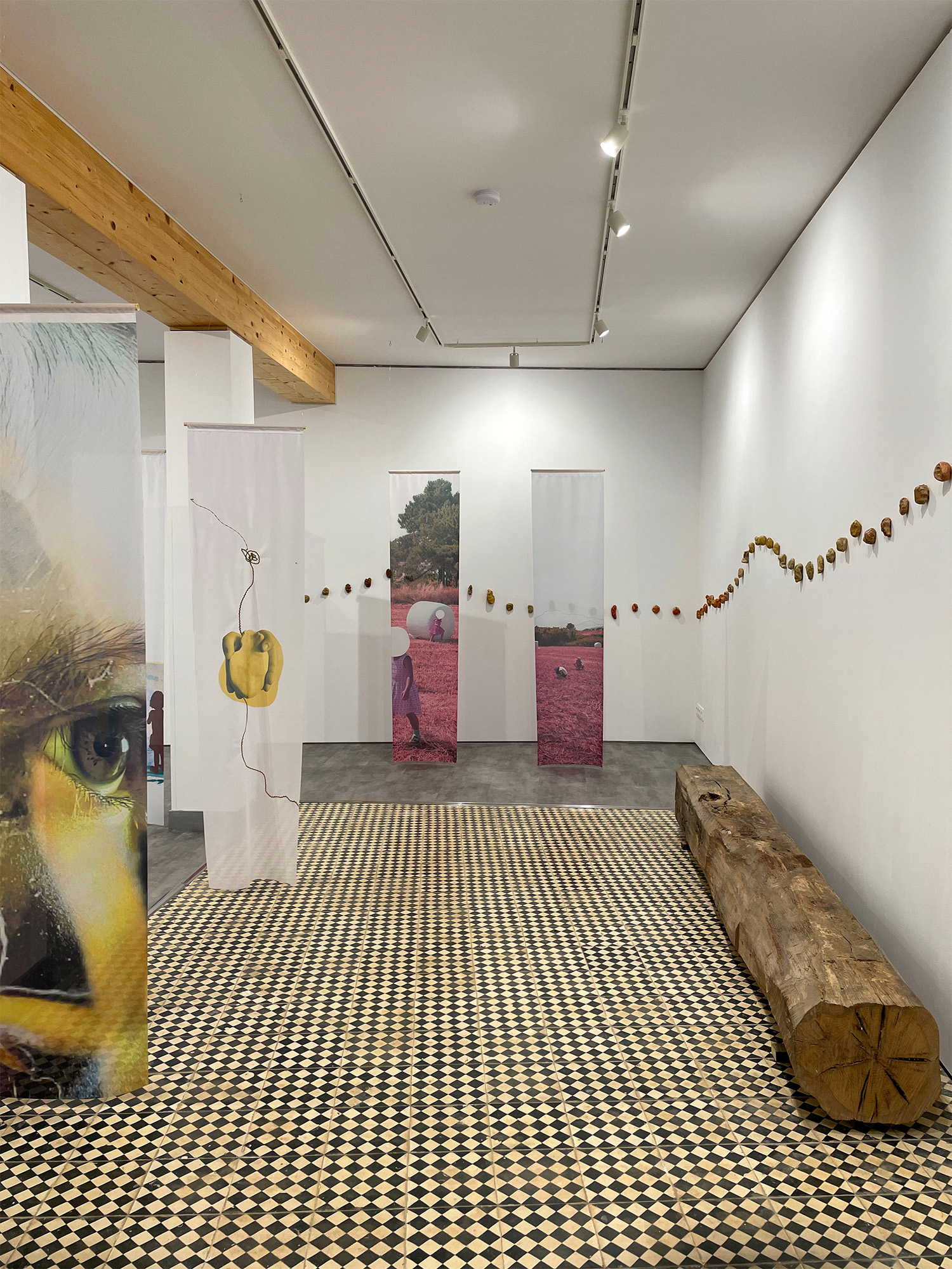 Ricardo Guerreiro Campos_A DANÇA DAS COISAS ENTRE SI