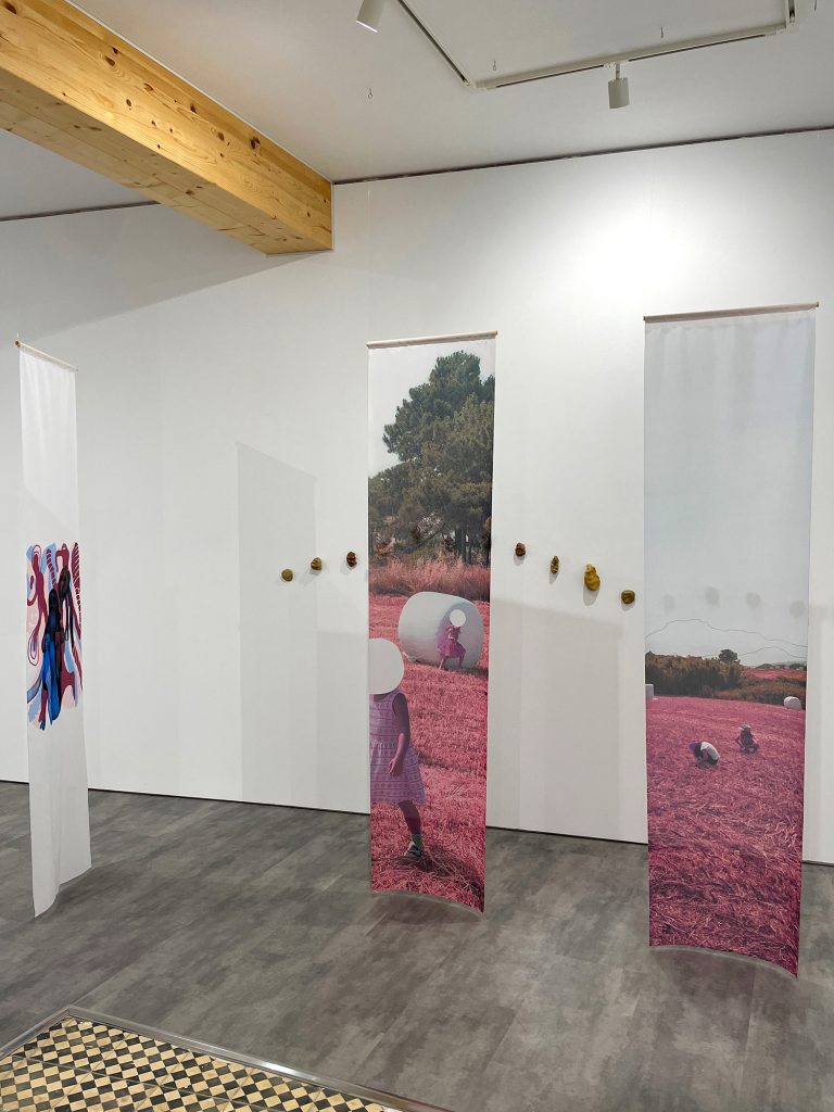 Ricardo Guerreiro Campos_A DANÇA DAS COISAS ENTRE SI