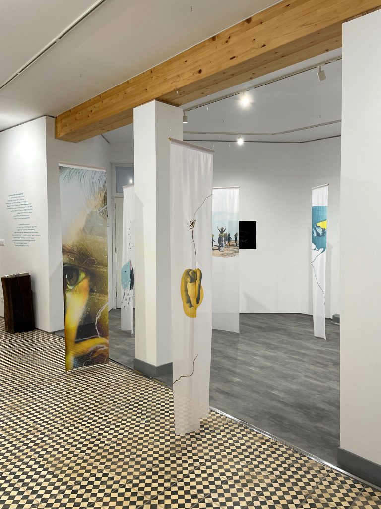 Ricardo Guerreiro Campos_A DANÇA DAS COISAS ENTRE SI