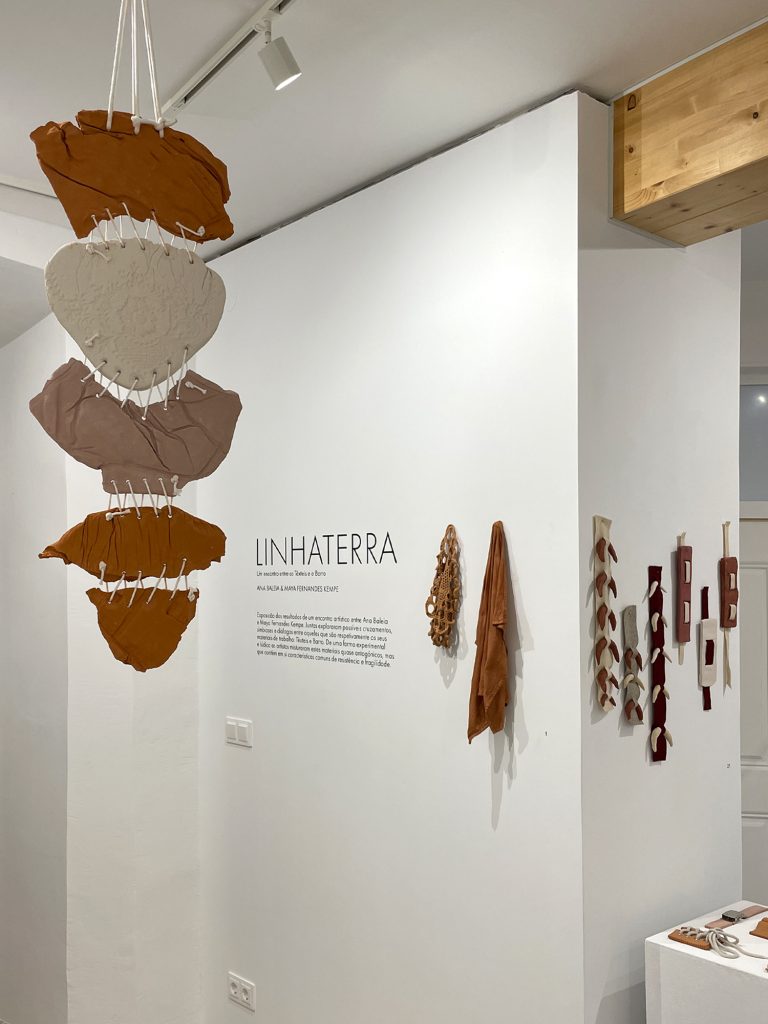 LINHATERRA_Ana Baleia & Maya Fernandes Kempe