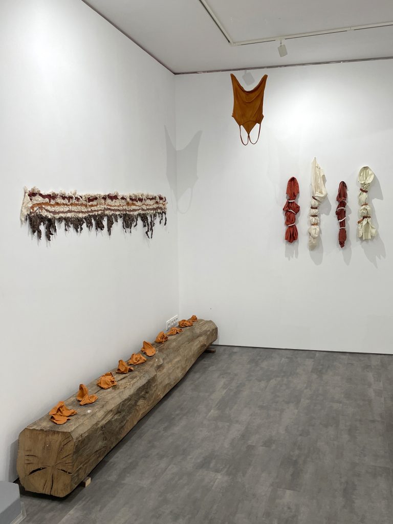 LINHATERRA_Ana Baleia & Maya Fernandes Kempe